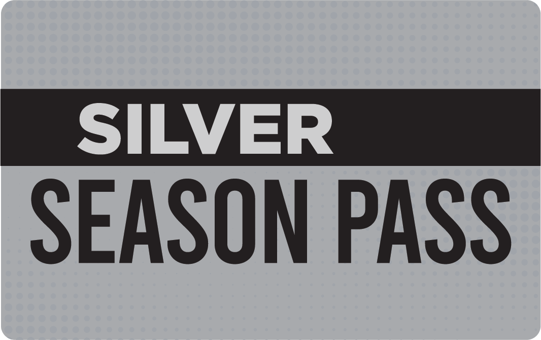 Silver pass image