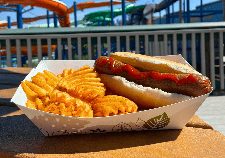 All American Grill hotdog and fries